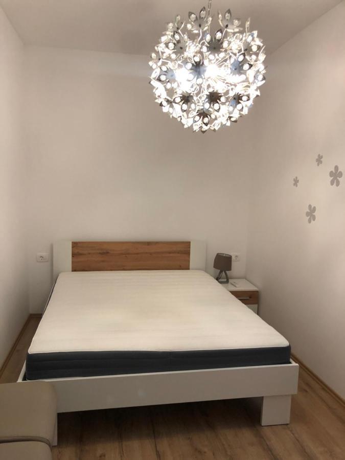 Apartmaji Meduza 2 イゾラ エクステリア 写真